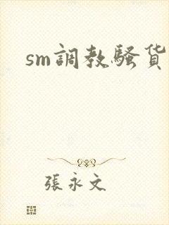 sm调教骚货h