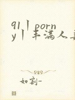 91丨porny丨丰满人妻