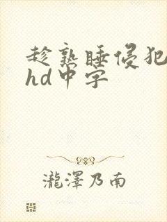 趁熟睡侵犯人妻hd中字