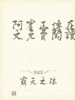 阿宾正传在线全文免费阅读无删减