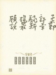 顾砚骁许柔汐小说最新章节更新时间