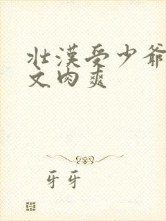 壮汉受少爷攻h文肉爽