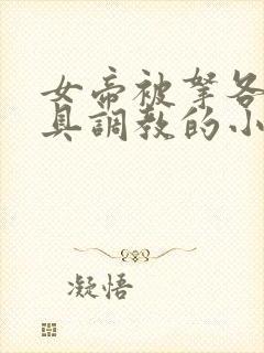 女帝被拿各种刑具调教的小说