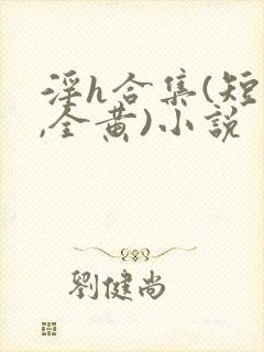 淫h合集(短文,全黄)小说