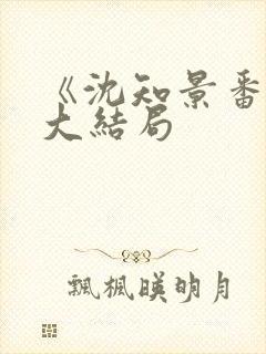 《沈知景番外》大结局封面