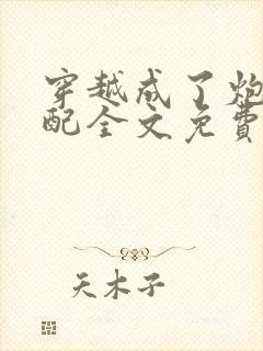 穿越成了炮灰女配全文免费阅读