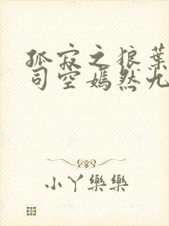 孤寂之狼叶凡与司空嫣然九十章