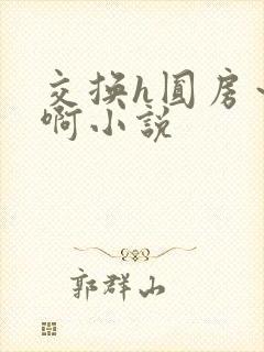 交换h圆房～嗯啊小说