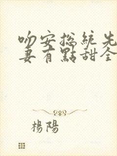 吻安总统先生蜜妻有点甜全文免费阅读封面