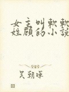 女主叫软软男主姓顾的小说封面