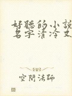 好听的小说女主名字清冷又温柔