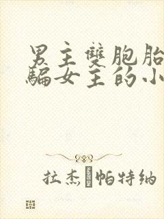 男主双胞胎兄弟骗女主的小说封面