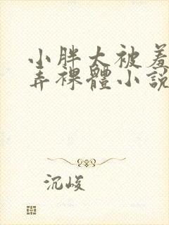 小胖太被羞耻玩弄裸体小说