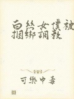 白丝女仆被主人捆绑调教