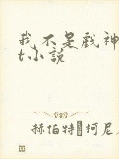 我不是戏神txt小说