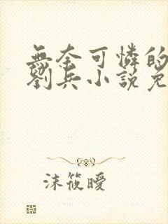 无奈可怜的妈妈刘兵小说免费阅读