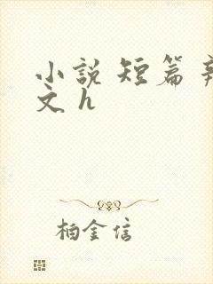 小说 短篇 辣文 h封面