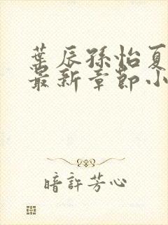 叶辰孙怡夏若雪最新章节小说