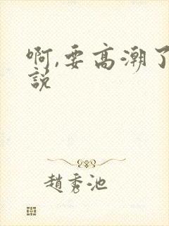 啊,要高潮了小说