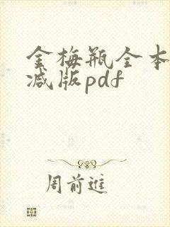 金梅瓶全本无删减版pdf