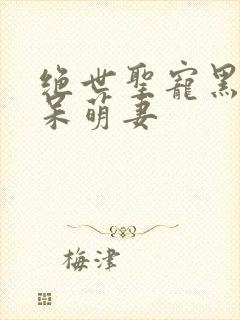 绝世圣宠黑帝的呆萌妻封面