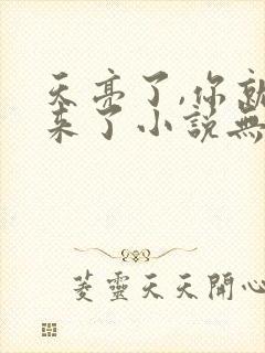 天亮了,你就回来了小说无弹窗