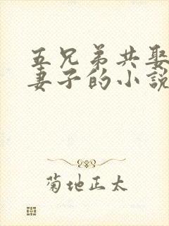 五兄弟共娶一个妻子的小说