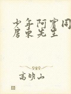 少年阿宾同人之房东先生