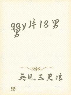 gay片18男男