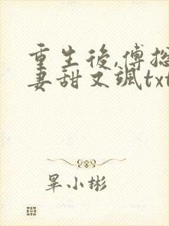 重生后,傅总娇妻甜又飒txt下载