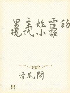 男主姓霍的总裁现代小说