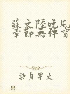 苏文陆晚风最新章节无弹窗笔趣阁