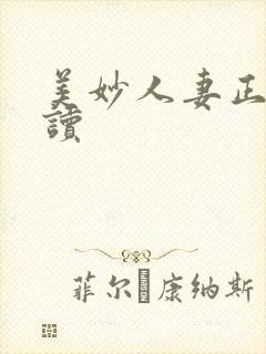 美妙人妻正文阅读