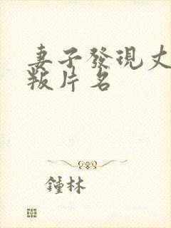 妻子发现丈夫背叛片名封面