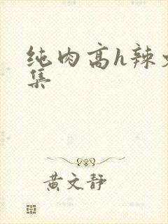 纯肉高h辣文合集