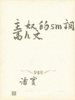 主奴的sm调教高h文封面