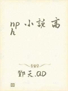 np 小说 高h封面