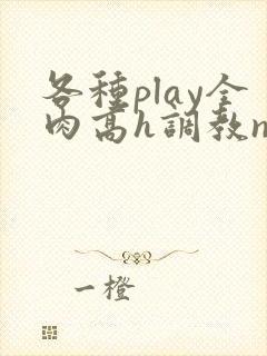 各种play全肉高h调教np