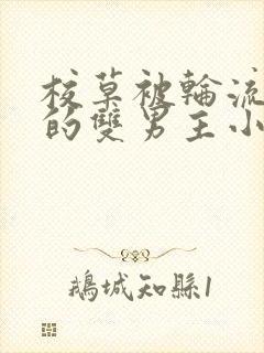 校草被轮流欺负的双男主小说推荐