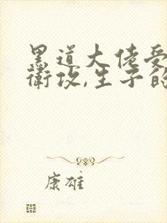 黑道大佬受,暗卫攻,生子的小说叫什么