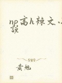 np高h辣文小说