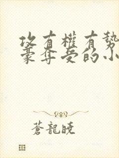 攻有权有势强取豪夺受的小说封面