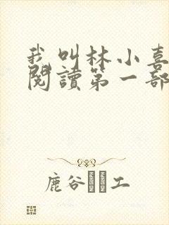 我叫林小喜全文阅读第一部