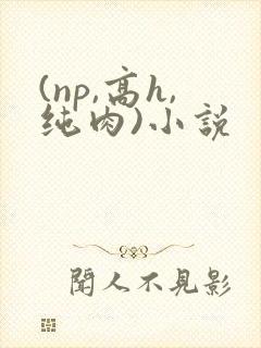 (np,高h,纯肉)小说