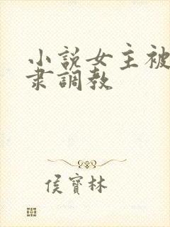小说女主被性奴隶调教封面