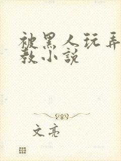 被黑人玩弄h调教小说