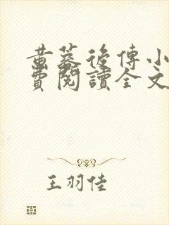 黄蓉后传小说免费阅读全文封面