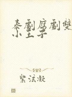 泰剧腐剧双男主小王子