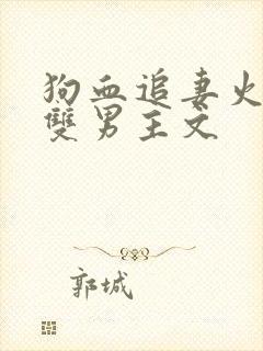 狗血追妻火葬场双男主文