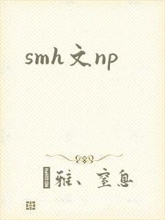 smh文np封面
